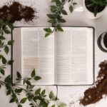 Must-Do's When Writing a Book